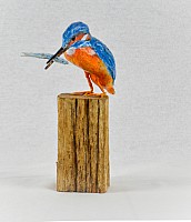 IMG_02