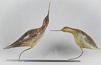IMG_10