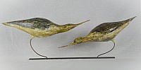 IMG_18