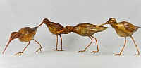 IMG_20