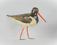 IMG_21
