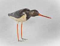 IMG_22